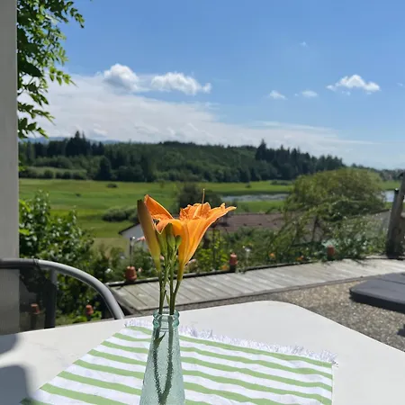 Panorama-haus Pfaender - Bergblick, Badezimmer, Kitchenette, Eigene Sonnenterrasse