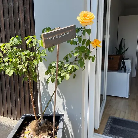 Panorama-Haus Appartement Pfänder Apartment