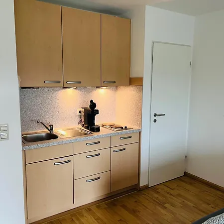 Panorama-haus Pfaender - Bergblick, Badezimmer, Kitchenette, Eigene Sonnenterrasse Apartamento *