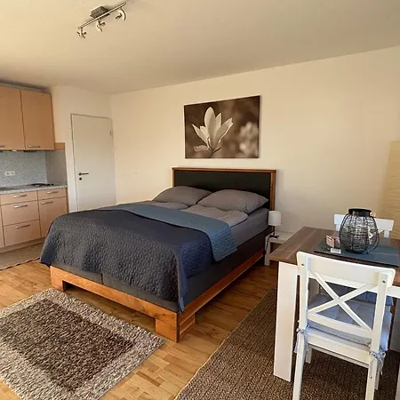 Panorama-haus Pfaender - Bergblick, Badezimmer, Kitchenette, Eigene Sonnenterrasse Lägenhet Wangen im Allgäu