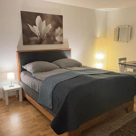 Panorama-haus Studio-appartment Pfaender *