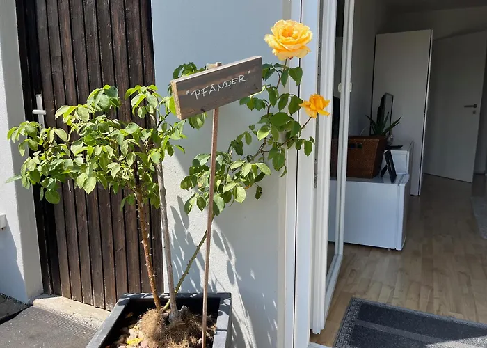 Panorama-Haus Appartment Pfaender - Bergblick, Badezimmer, Kitchenette, Eigene Sonnenterrasse Appartement